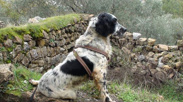 Jack Foto 5